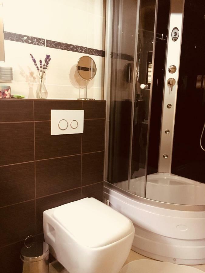 Grand Spa Holiday Home Sklené Teplice Exteriör bild